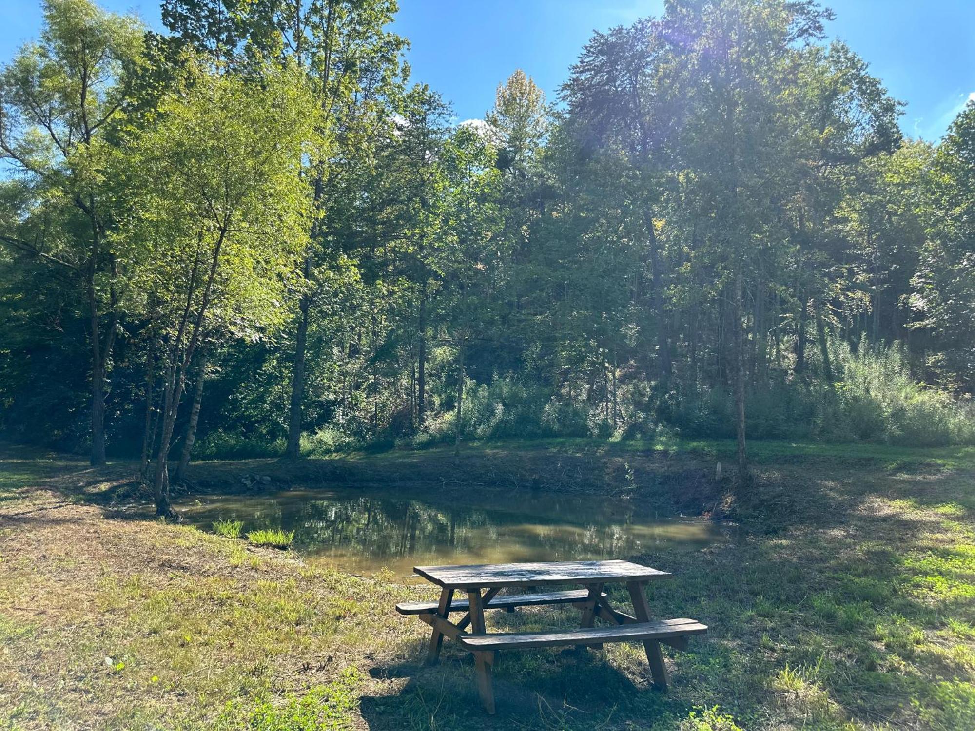 Cozy Cove Retreat W Lake View Hot Tub Firepit Dandridge Esterno foto